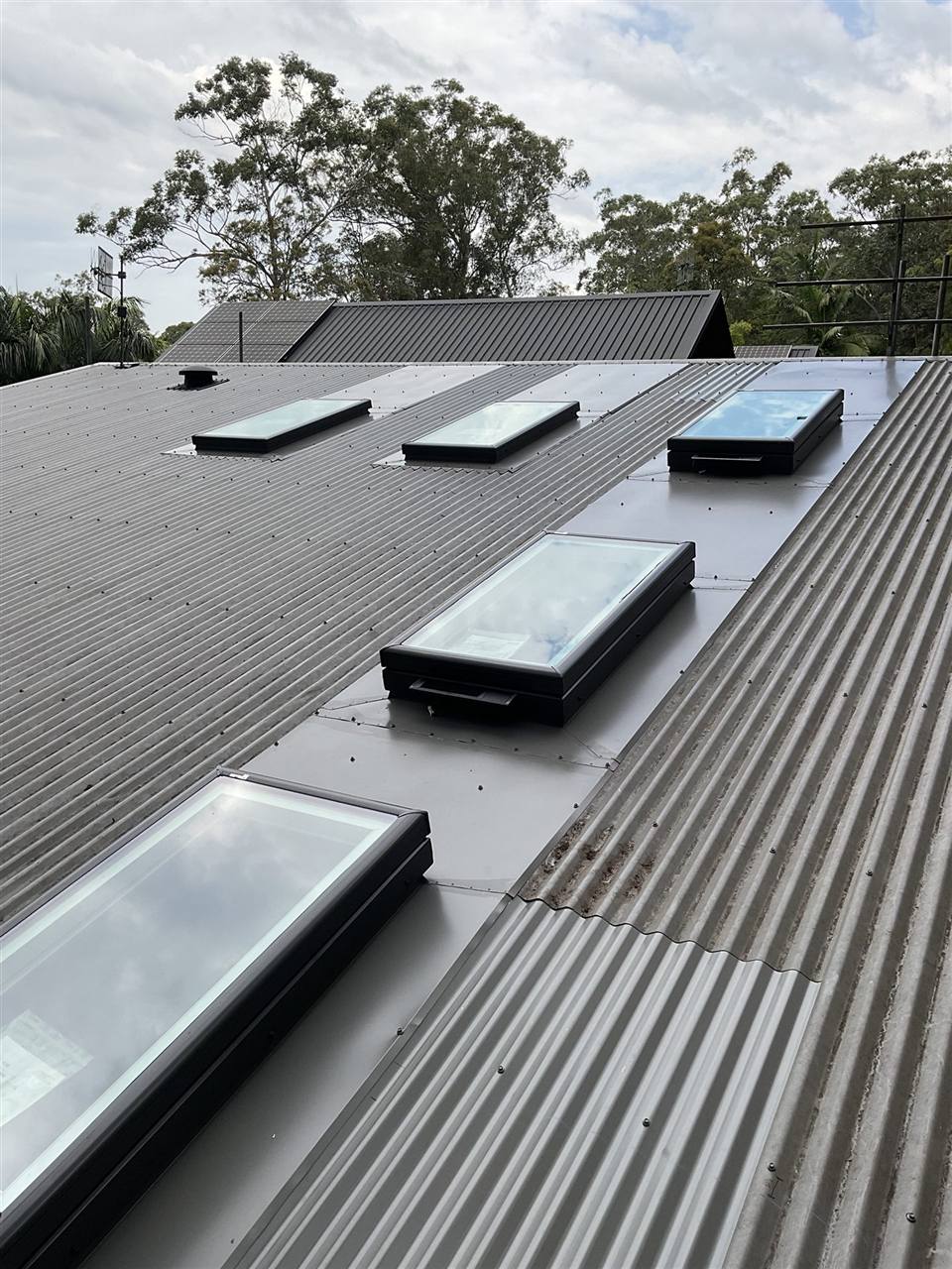 A row of Velux skylights installed on a flat roof surrounded by greenery